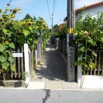 Der Weg zum Kleingarten-Grundstück.