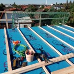Dach mit Absturzsicherung