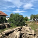 Abbruch Altbestand